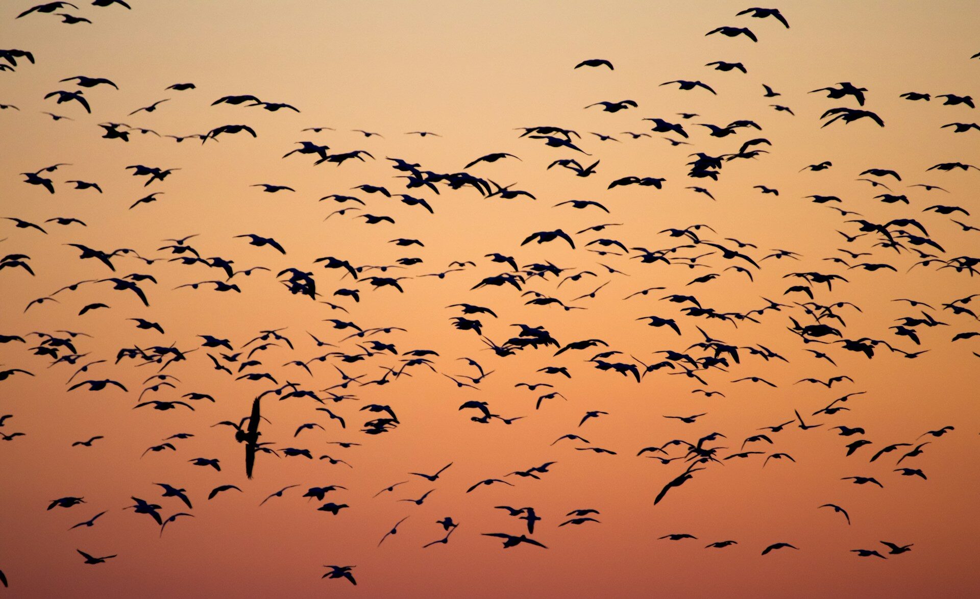 Blog PRIM'X - Move to Cloud : relever le défi de la migration